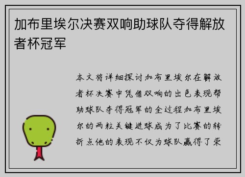 加布里埃尔决赛双响助球队夺得解放者杯冠军